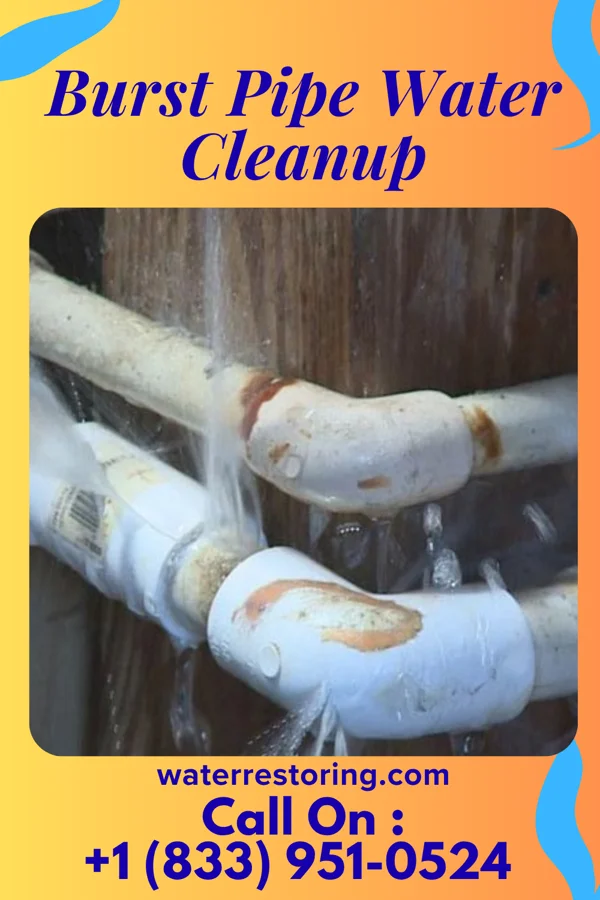 Burst Pipe Water Cleanup in Tusculum, TN