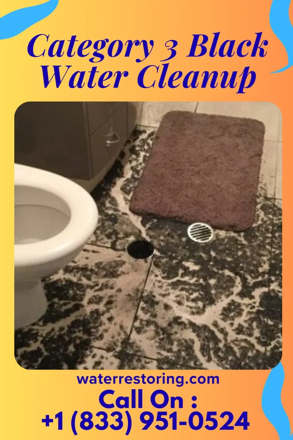 Category 3 Black Water Cleanup in Tusculum, TN