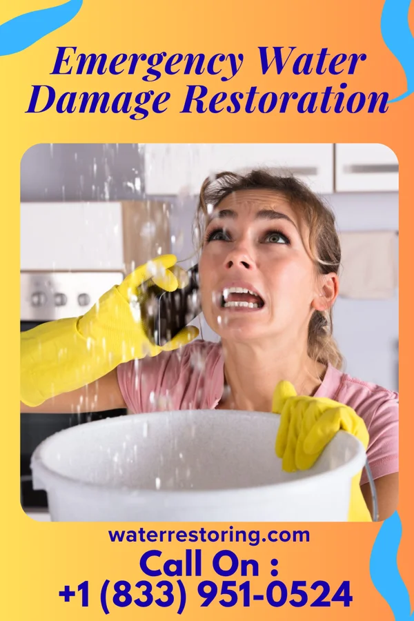 Emergency Water Damage Restoration in Tusculum, TN