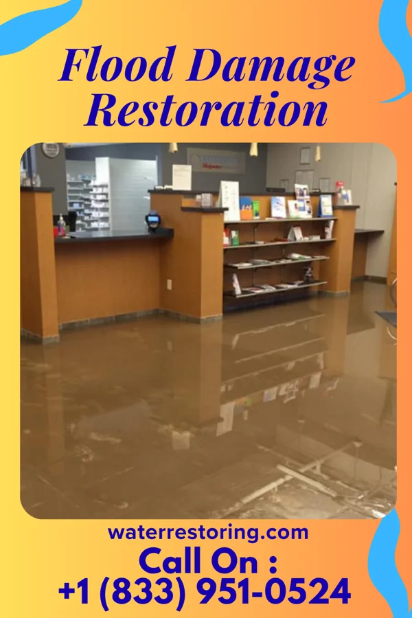 Flood Damage Restoration in Tusculum, TN