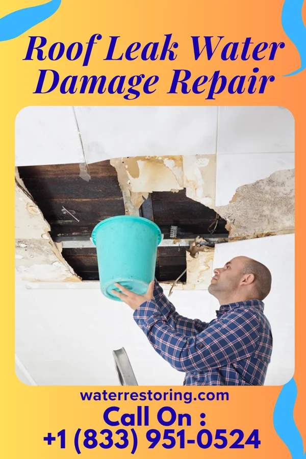 Roof Leak Water Damage Repair in Tusculum, TN