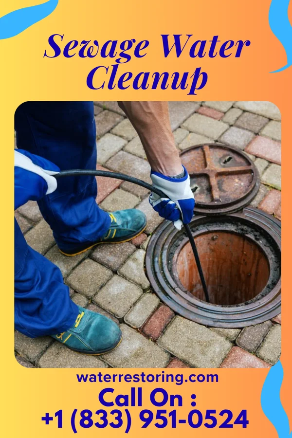 Sewage Water Cleanup in Tusculum, TN