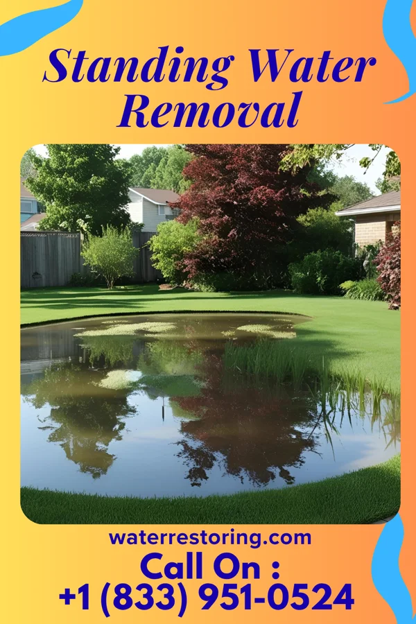 Standing Water Removal in Tusculum, TN